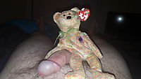 For the Teddy Bears Rock Group with Speckles The Beanie Baby Bear