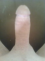 My shaved smooth cock