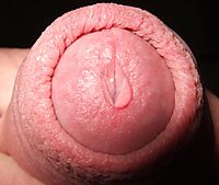 my cock, with pre cum