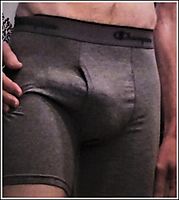 .......DO YOU FEEL THE NEED TO INDULGE THE BULGE?........