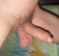 My unshaved  cock