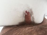Cock in the snow