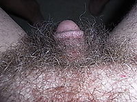 Disappearing into the pubic hair