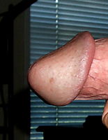 cock head, side view