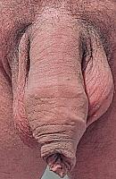 Close up my flaccid cock out of its cage