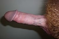 Redhead - hard dick from the side, nice red pubes!
