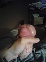 Cock and balls anyone?