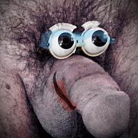 Elmo eyes on a cold shower cock some good dum lulz