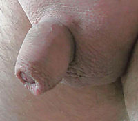My soft cock just shaved