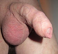 Close-up view of my soft cock showing foreskin