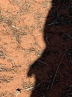Silhouette in the desert